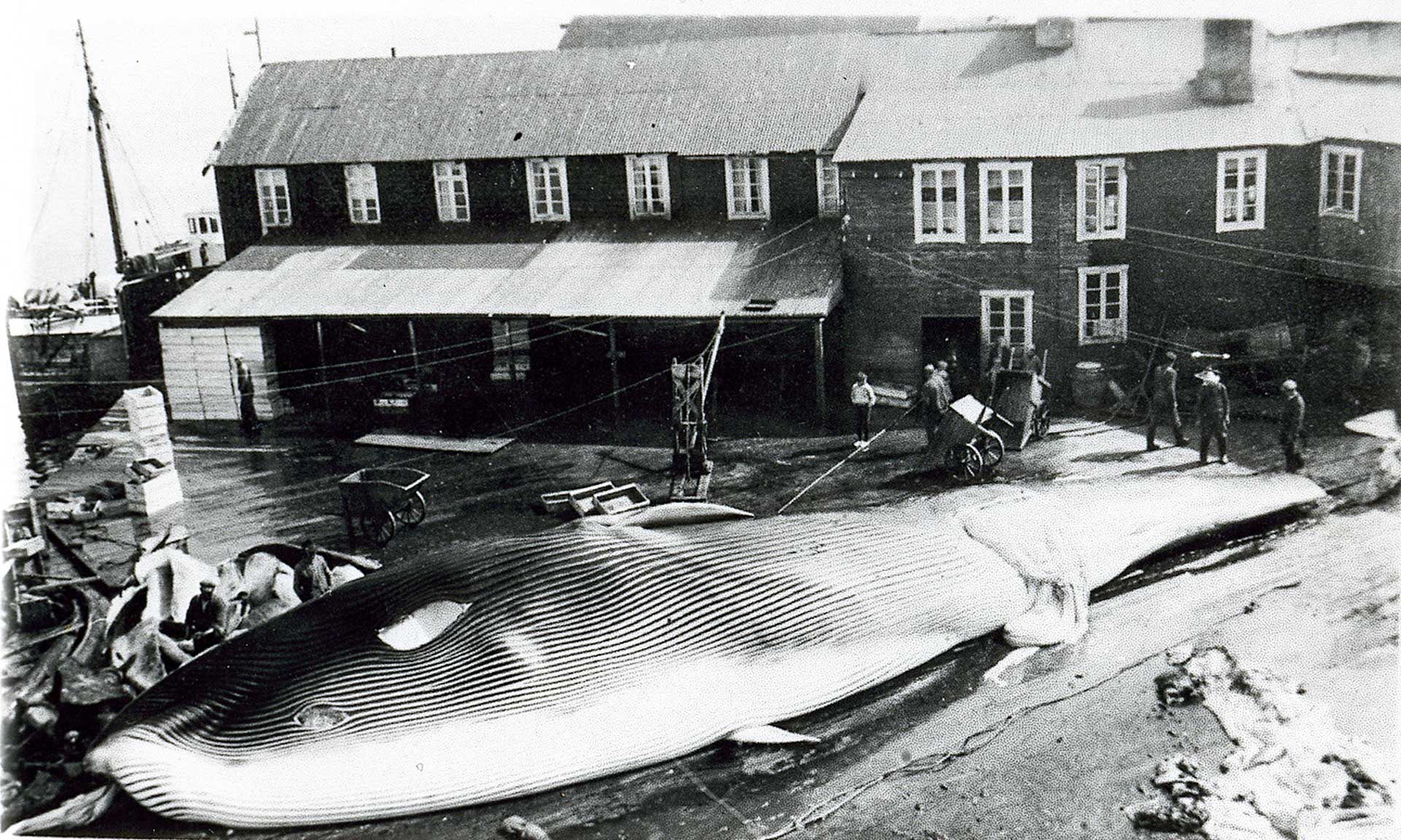 R-Sandøybilder