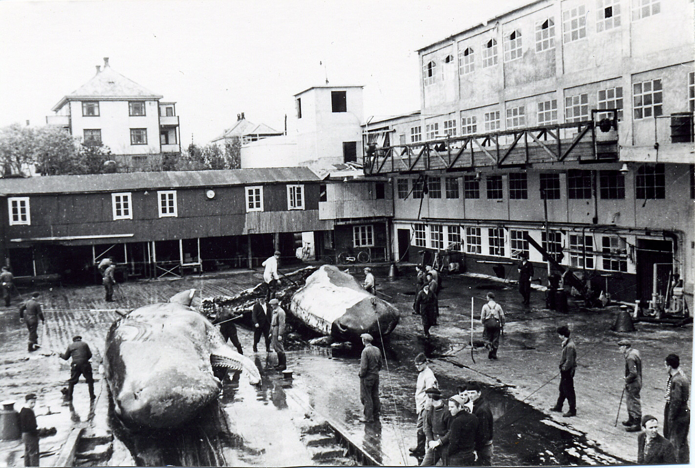 R-Sandøybilder0010-2